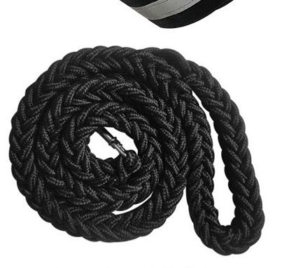 Refractive Personalized Dog Harness - The Pet Reset