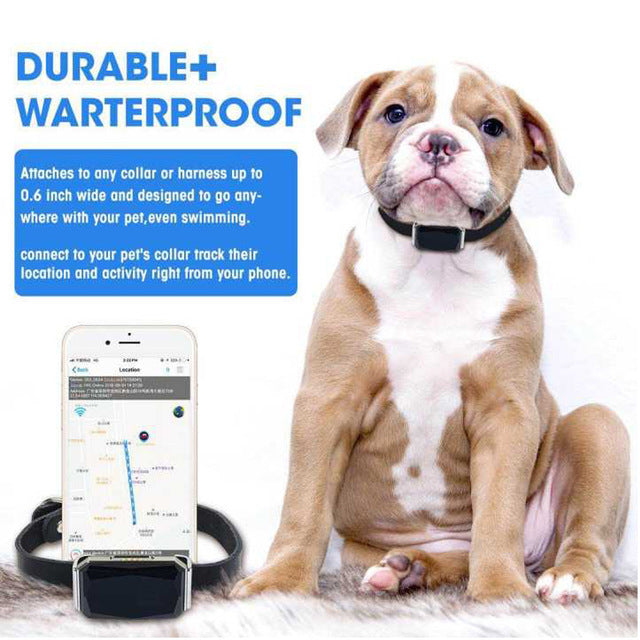 New Arrival IP67 Waterproof Pet Collar with GPS Tracker - The Pet Reset