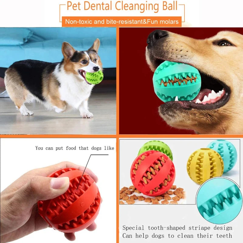 Dog Interactive Rubber Ball Chewing Toy - The Pet Reset