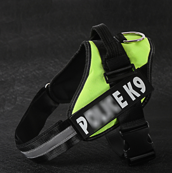 Refractive Personalized Dog Harness - The Pet Reset