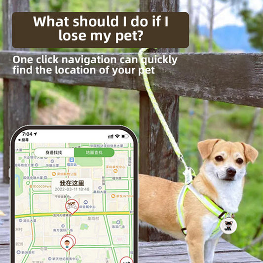 Global Positioning Airtag Loss Preventer Cat and Dog Intelligent Tracking Pet Collar - The Pet Reset