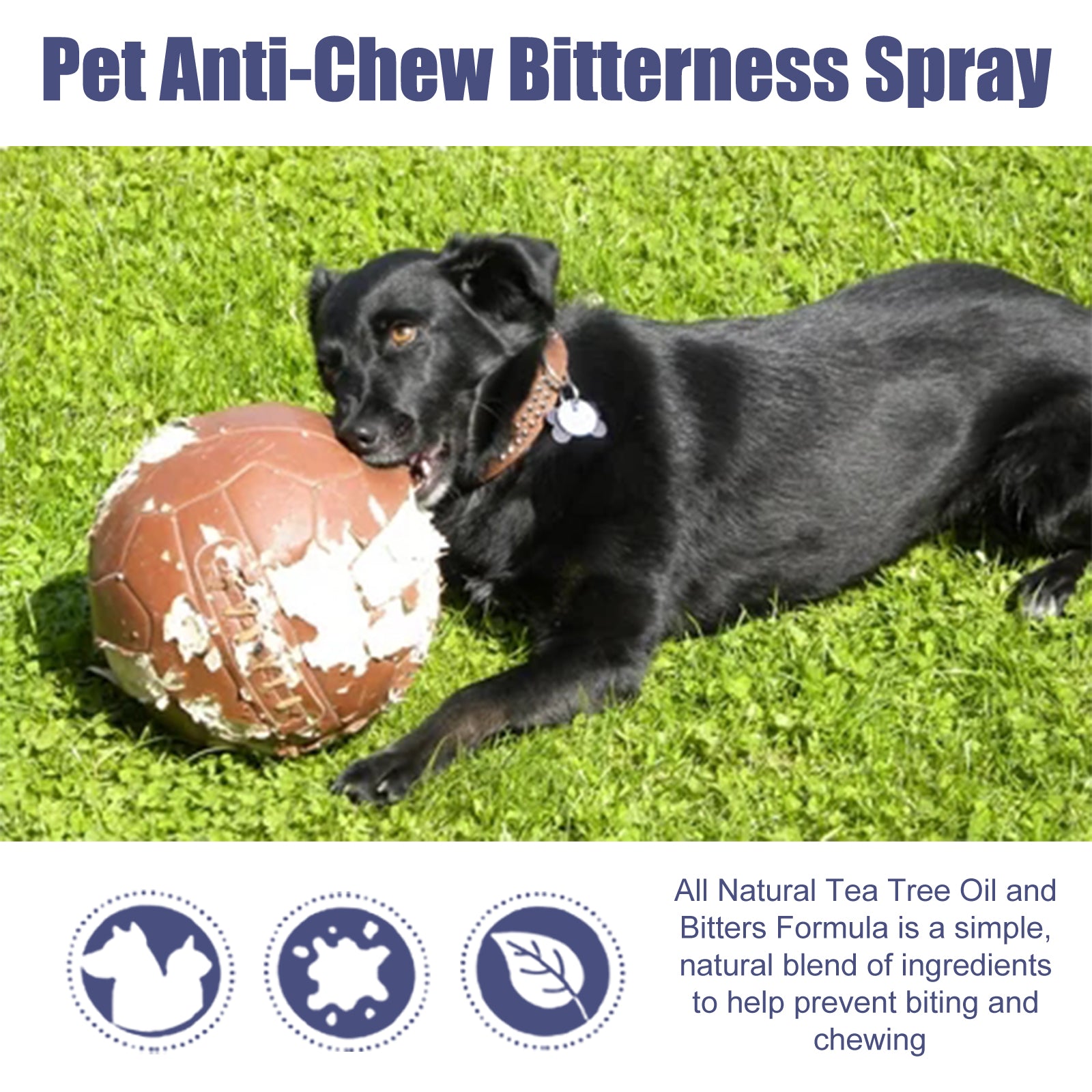 Pet Bitter Anti-Biting Spray - The Pet Reset