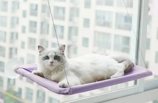 Cat Window Hammock - The Pet Reset