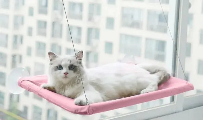 Cat Window Hammock - The Pet Reset