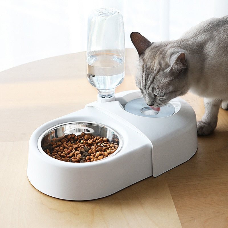 Automatic Water Dispenser Feeding Bowl - The Pet Reset