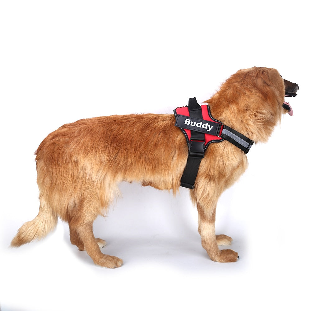 Refractive Personalized Dog Harness - The Pet Reset