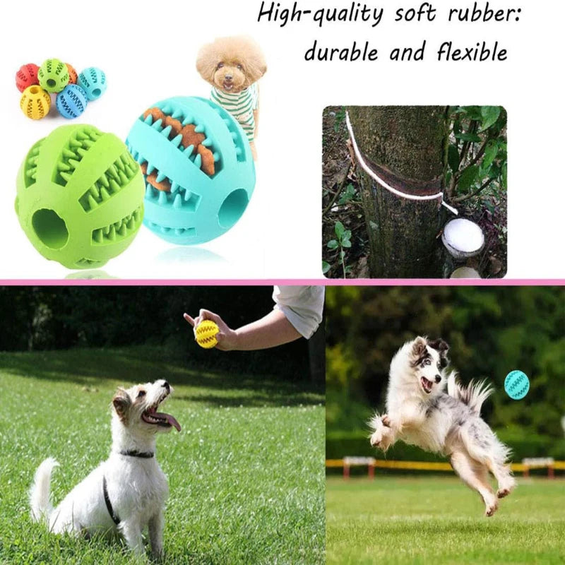 Dog Interactive Rubber Ball Chewing Toy - The Pet Reset