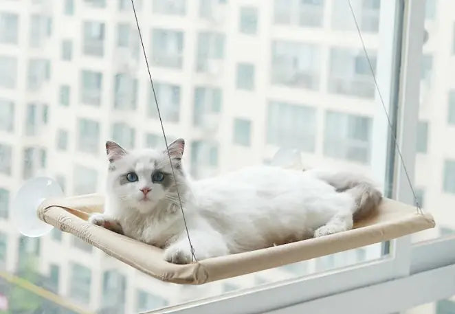 Cat Window Hammock - The Pet Reset