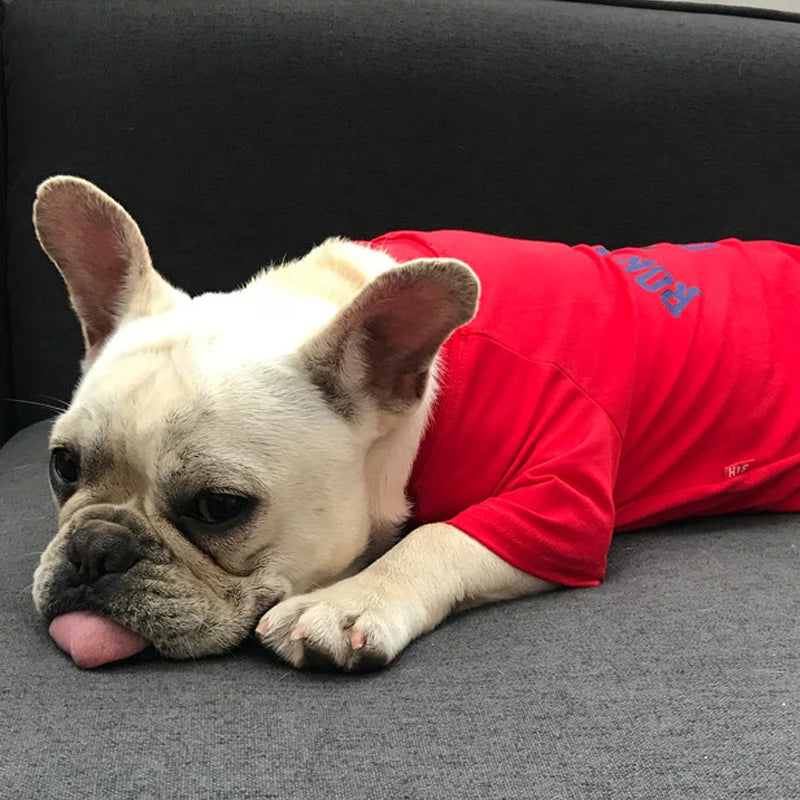 Pet And Owner Matching Outfits - The Pet Reset