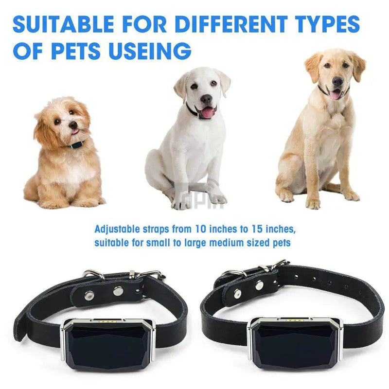 New Arrival IP67 Waterproof Pet Collar with GPS Tracker - The Pet Reset