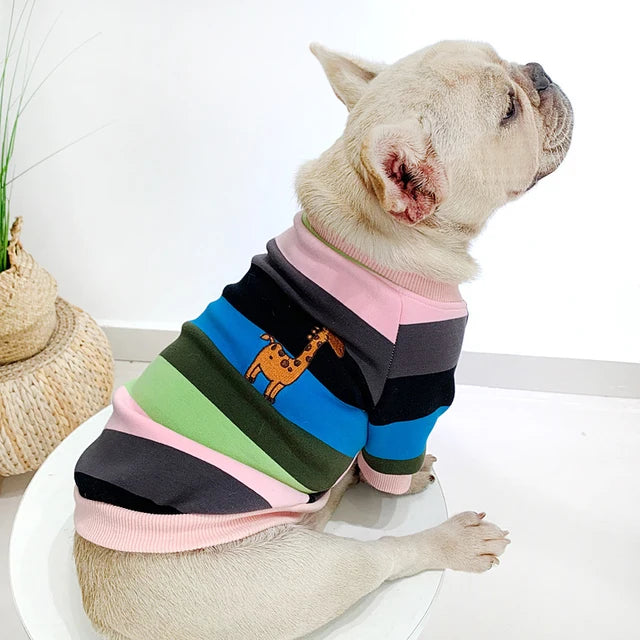 Rainbow Pet Matching Sweater - The Pet Reset