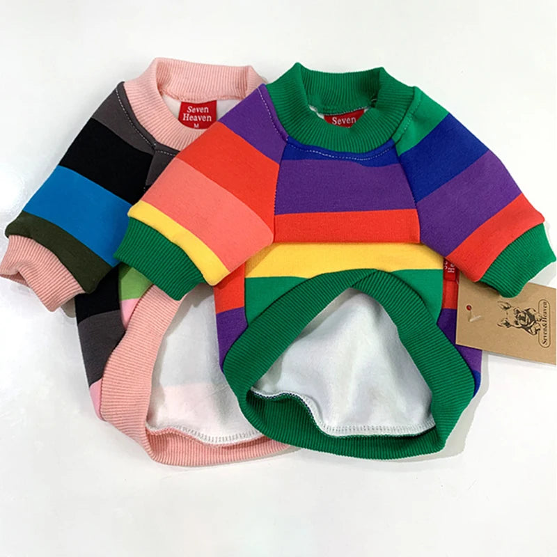 Rainbow Pet Matching Sweater - The Pet Reset