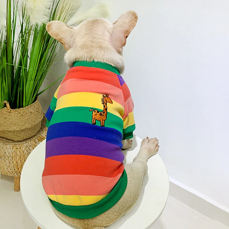 Rainbow Pet Matching Sweater - The Pet Reset