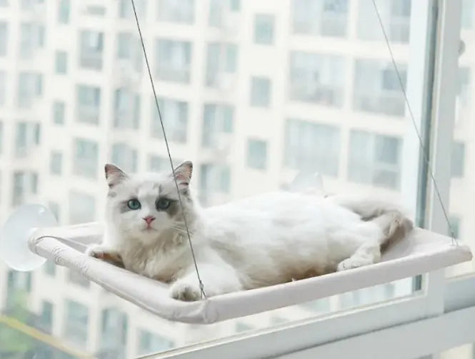 Cat Window Hammock - The Pet Reset