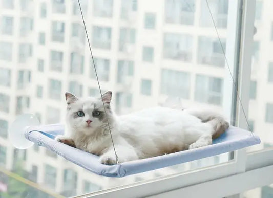 Cat Window Hammock - The Pet Reset