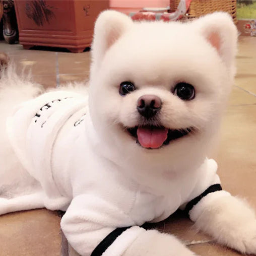 Hooded Pajamas Dog Bathrobe - The Pet Reset