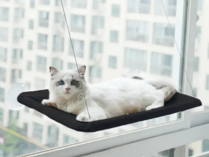 Cat Window Hammock - The Pet Reset