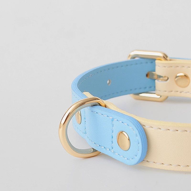 Genuine Leather Pet Collar - The Pet Reset