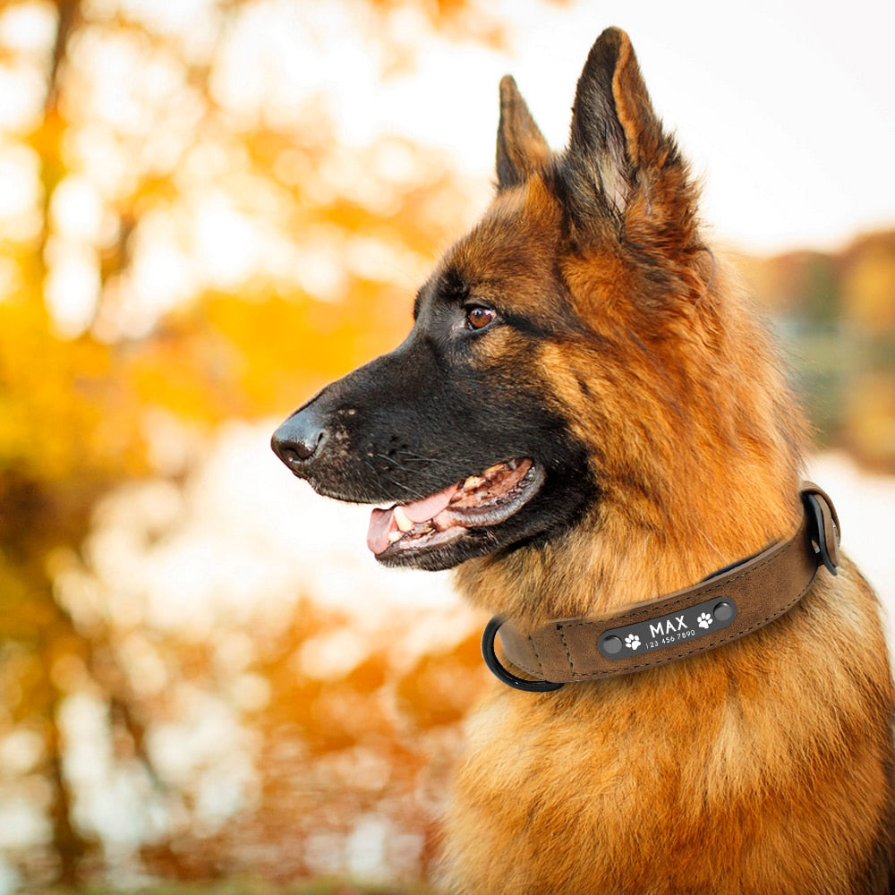 Personalized Leather Collar & Leash Set