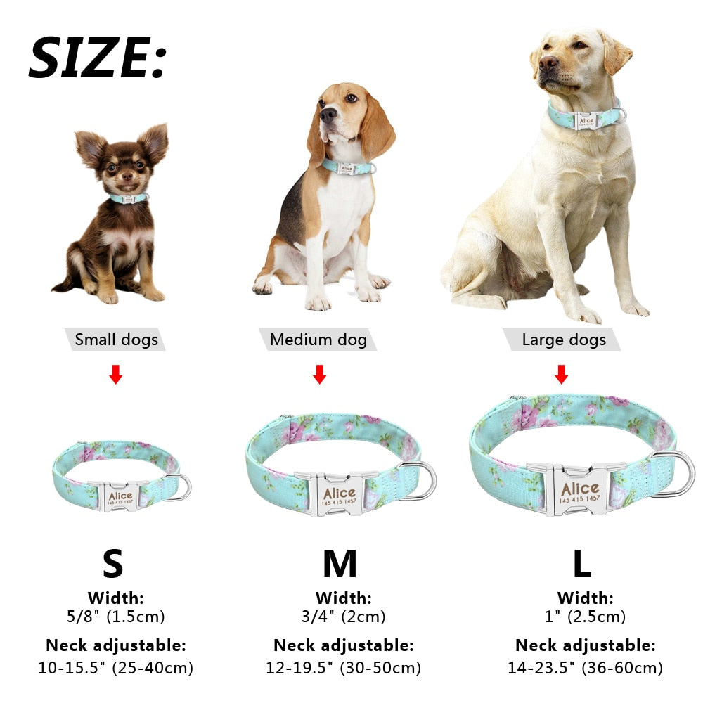 Personalized Nylon Pet Tag Collar