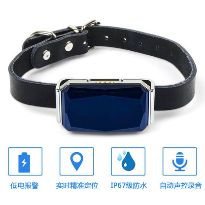 New Arrival IP67 Waterproof Pet Collar with GPS Tracker