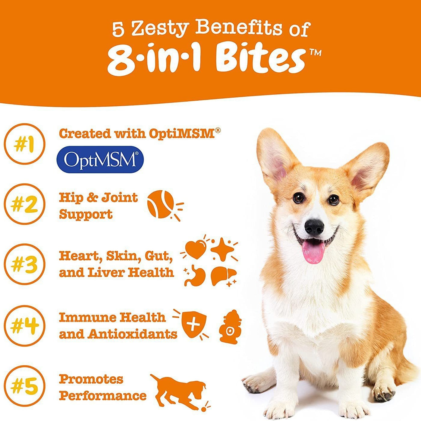 Pet Vitamin Health Product: Multi-Functional Nutritional Supplement for Dogs - The Pet Reset