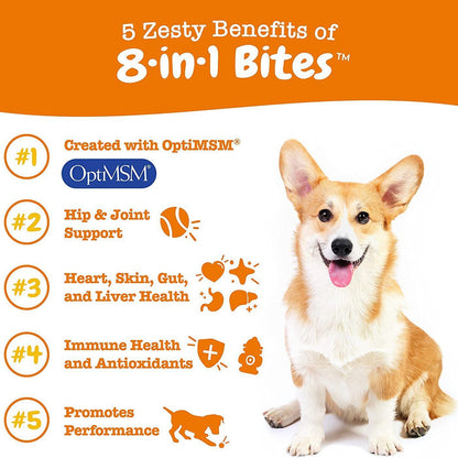 Pet Vitamin Health Product: Multi-Functional Nutritional Supplement for Dogs - The Pet Reset