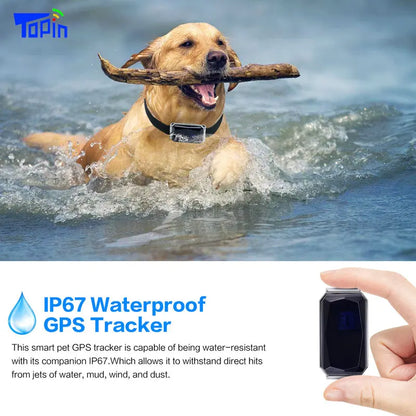 New Arrival IP67 Waterproof Pet Collar with GPS Tracker