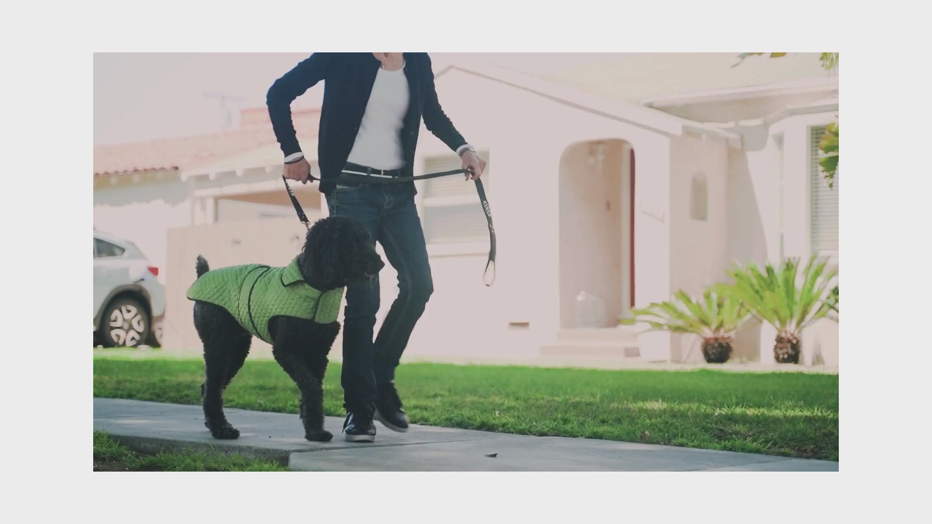 Load video: 